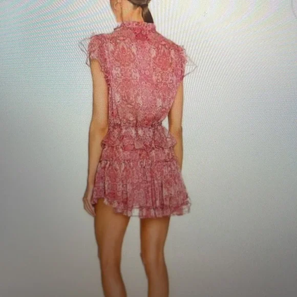 Misa Los Angeles Pink Ruffle Dress - Picture 2 of 6